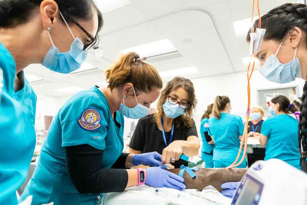 ACC Associate Degree in Nursing (ADN) students and faculty attend a Level 2, IV Therapy Lab inside one of the new state of the art Simulation Labs at the Highland Campus.